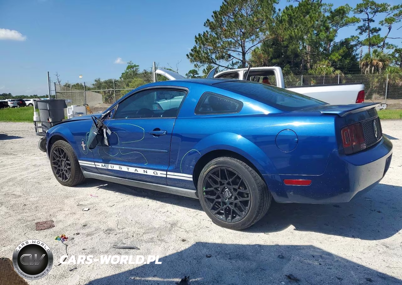2008 Ford Mustang VIN:1ZVHT80N685208660 - 2