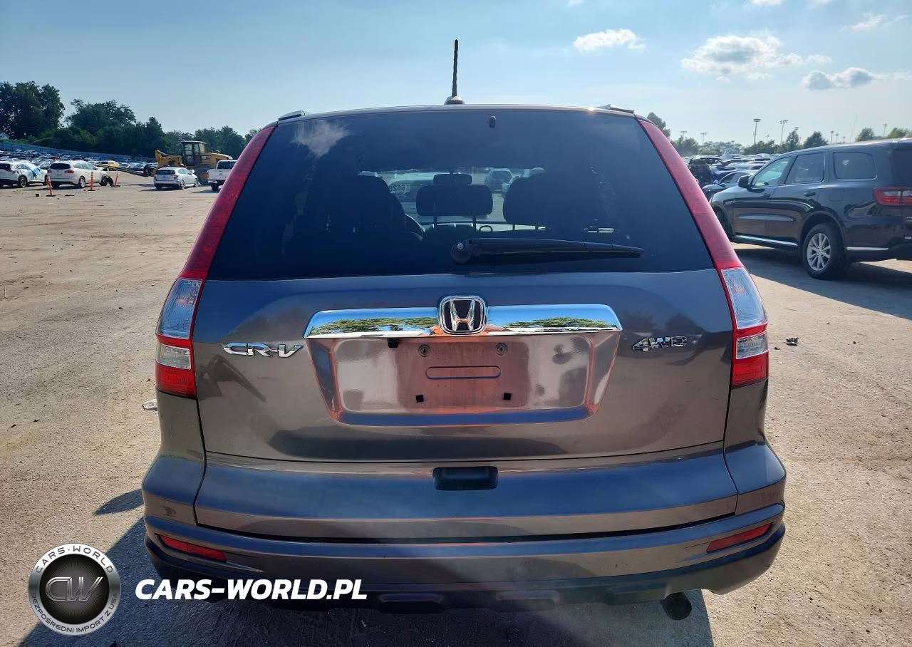 2010 Honda Cr-V Exl VIN:5J6RE4H76AL083199 - 6