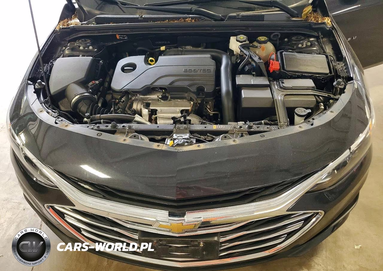 2023 Chevrolet Malibu Lt VIN:1G1ZD5ST2PF221129 - 11