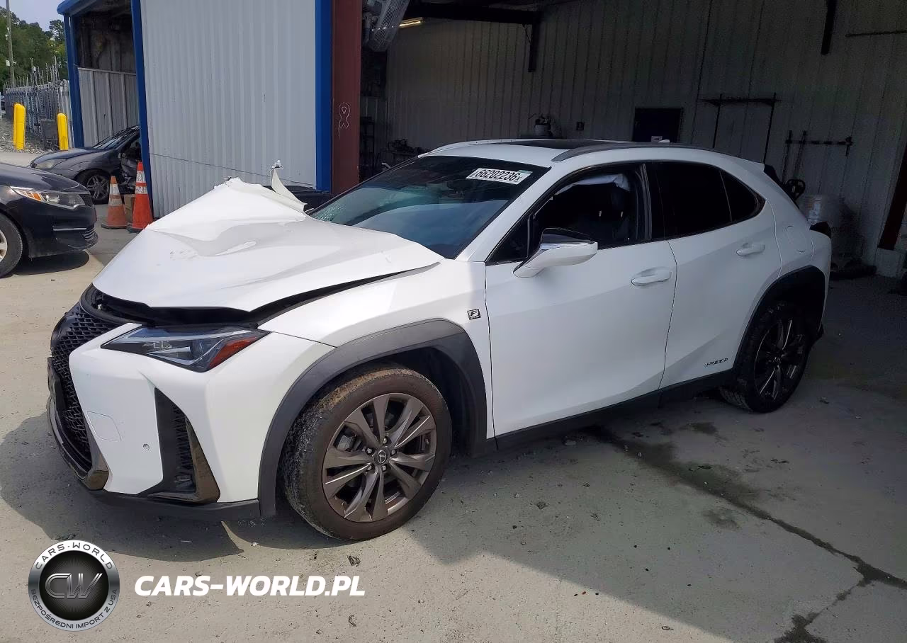 2019 Lexus Ux 250H
