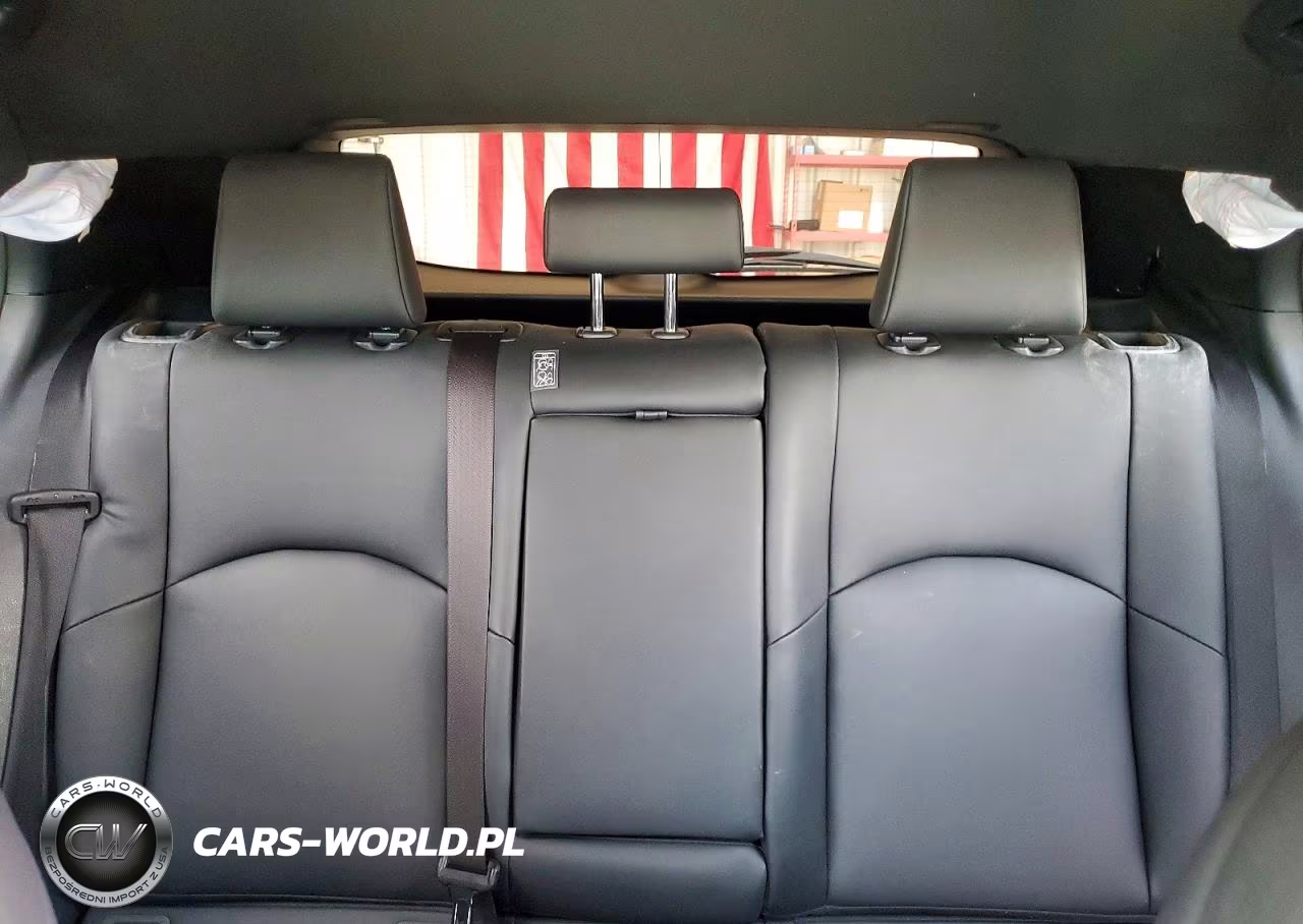 2019 Lexus Ux 250H VIN:JTHU9JBH5K2005622 - 10