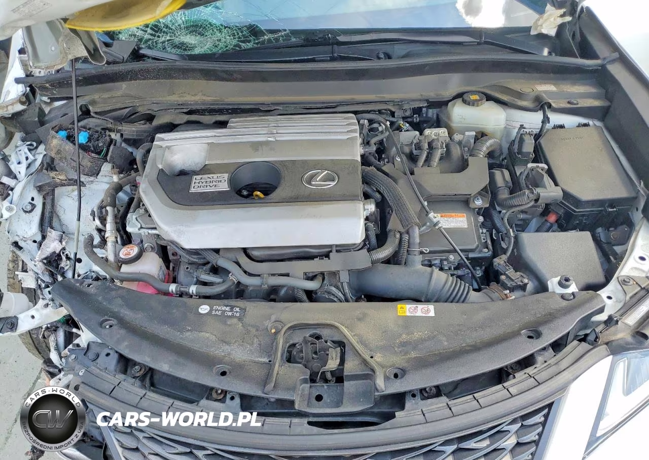 2019 Lexus Ux 250H VIN:JTHU9JBH5K2005622 - 12