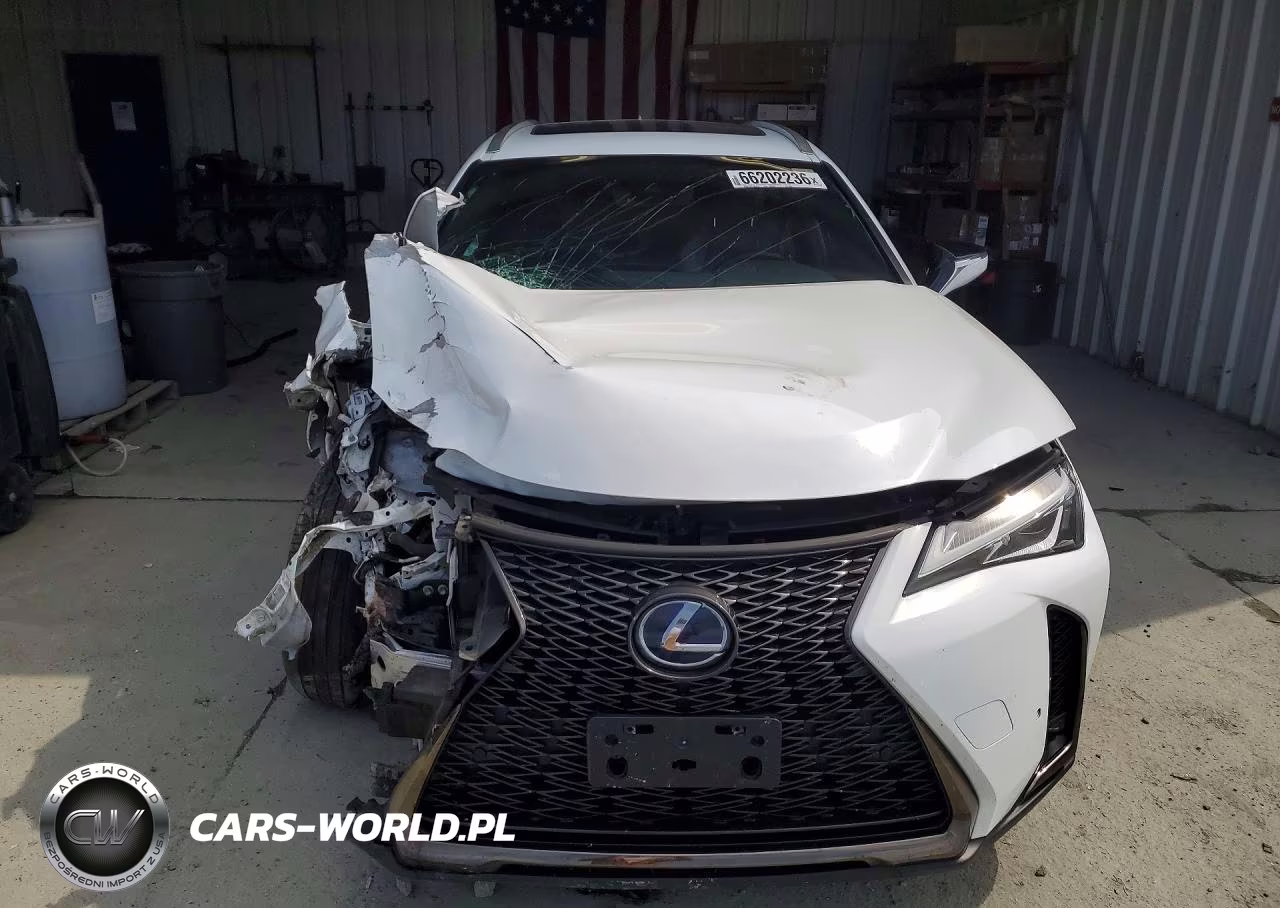 2019 Lexus Ux 250H VIN:JTHU9JBH5K2005622 - 5