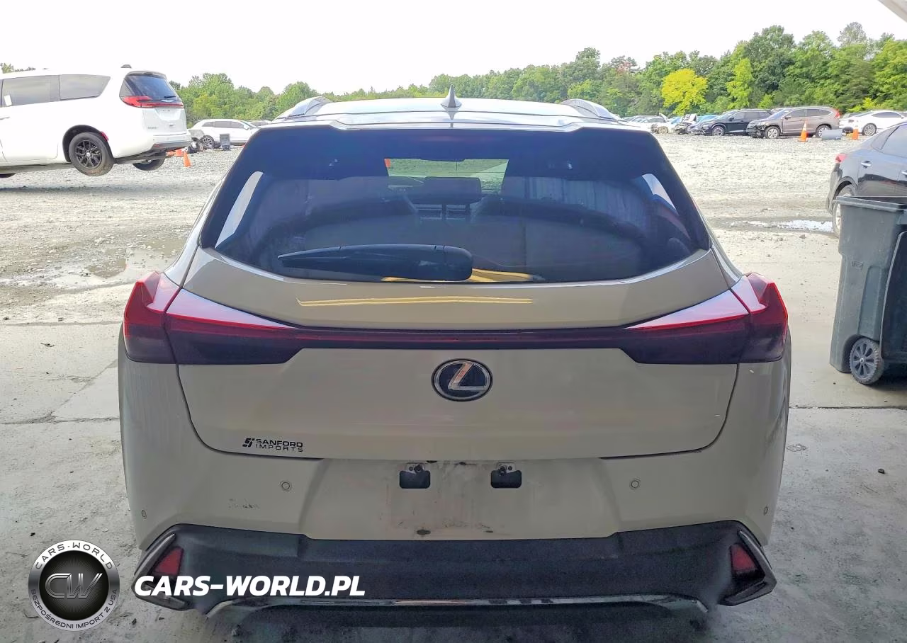 2019 Lexus Ux 250H VIN:JTHU9JBH5K2005622 - 6