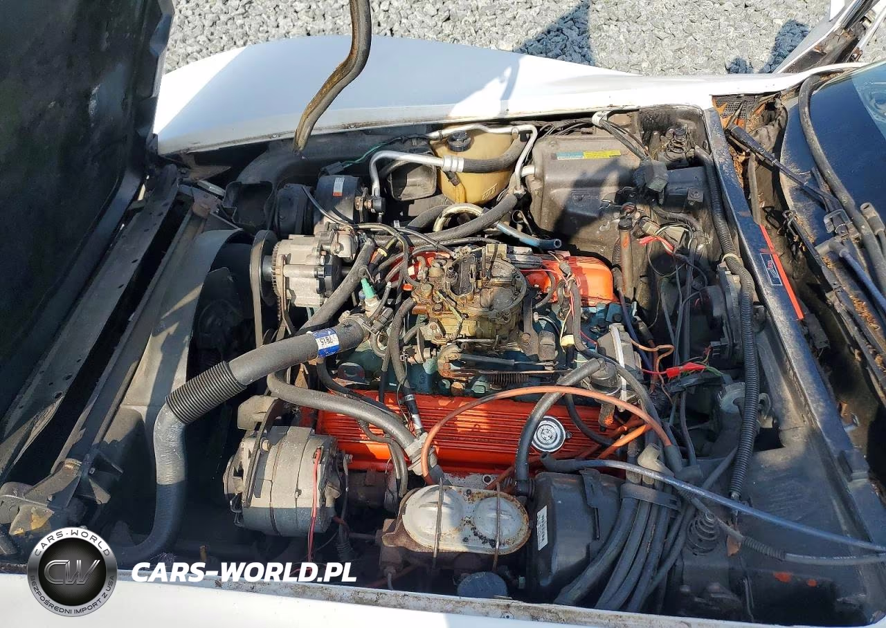 1980 Chevrolet Corvette VIN:1Z878AS438769 - 11