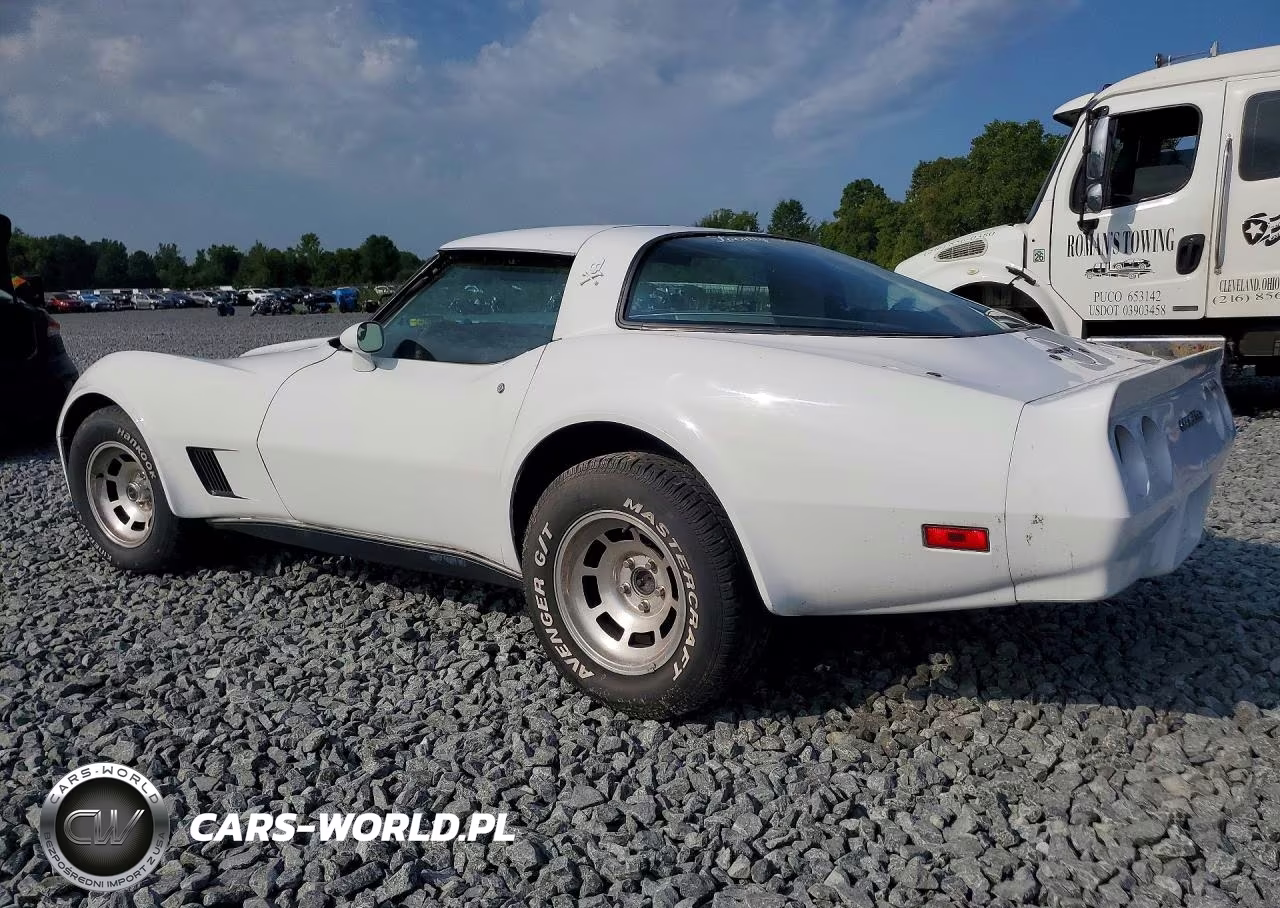 1980 Chevrolet Corvette VIN:1Z878AS438769 - 2