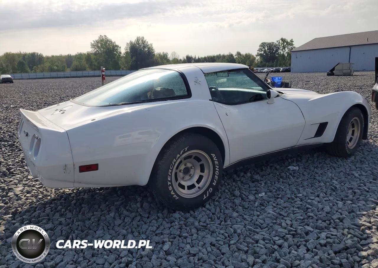 1980 Chevrolet Corvette VIN:1Z878AS438769 - 3
