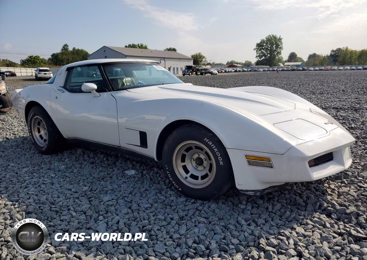 1980 Chevrolet Corvette VIN:1Z878AS438769 - 4