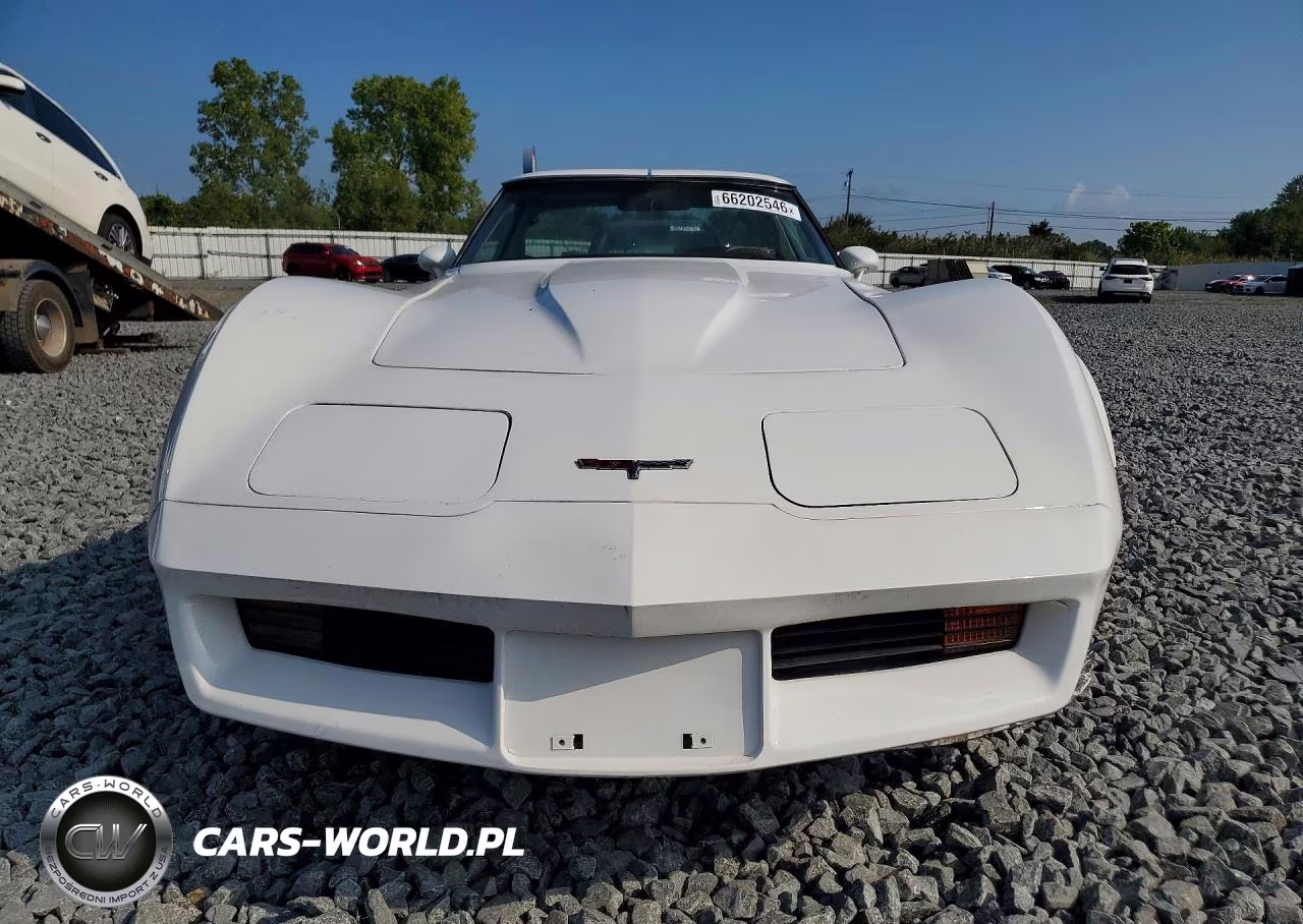 1980 Chevrolet Corvette VIN:1Z878AS438769 - 5