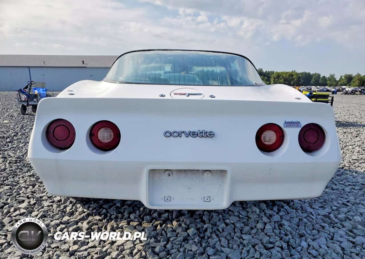 1980 Chevrolet Corvette VIN:1Z878AS438769 - 6