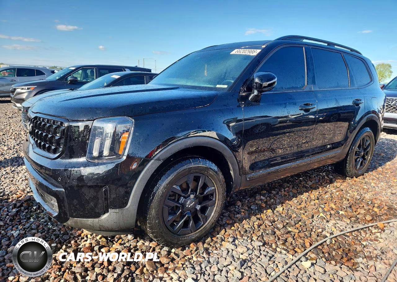 2024 Kia Telluride Sx-Prestige X-Pro VIN:5XYP5DGC2RG469086 - 1