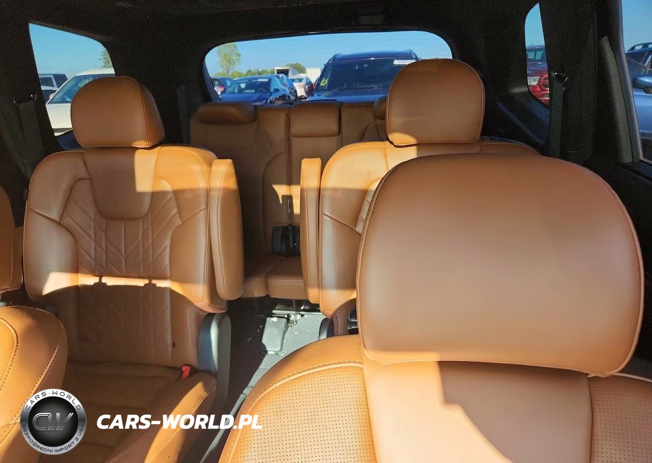 2024 Kia Telluride Sx-Prestige X-Pro VIN:5XYP5DGC2RG469086 - 10