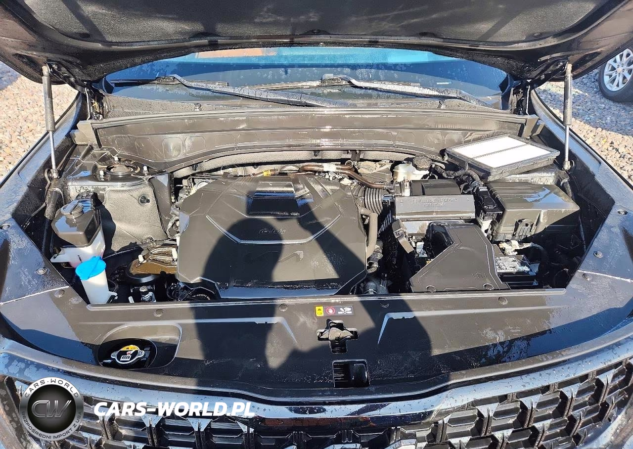2024 Kia Telluride Sx-Prestige X-Pro VIN:5XYP5DGC2RG469086 - 12