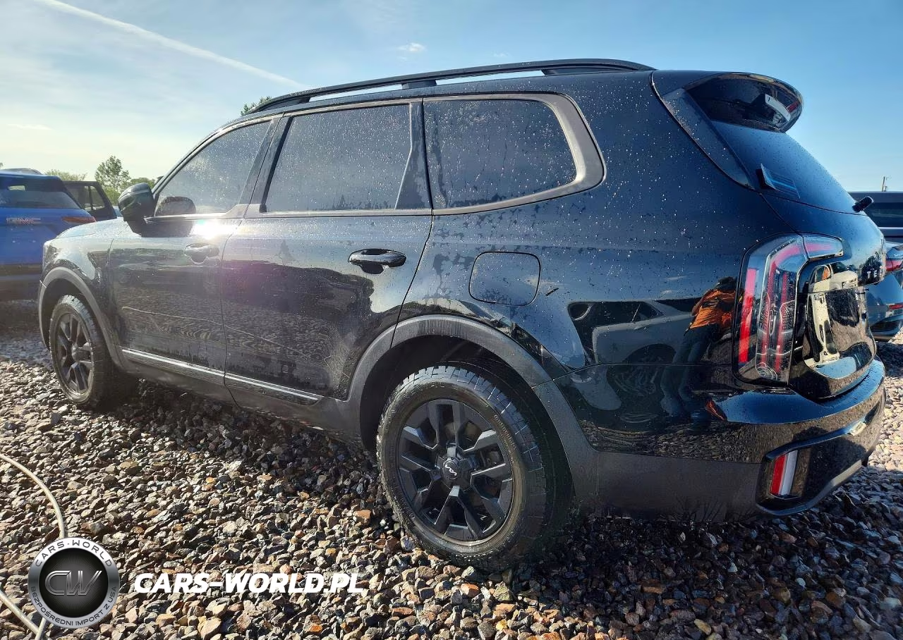 2024 Kia Telluride Sx-Prestige X-Pro VIN:5XYP5DGC2RG469086 - 2