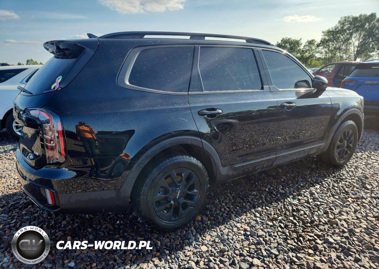 2024 Kia Telluride Sx-Prestige X-Pro VIN:5XYP5DGC2RG469086 - 3