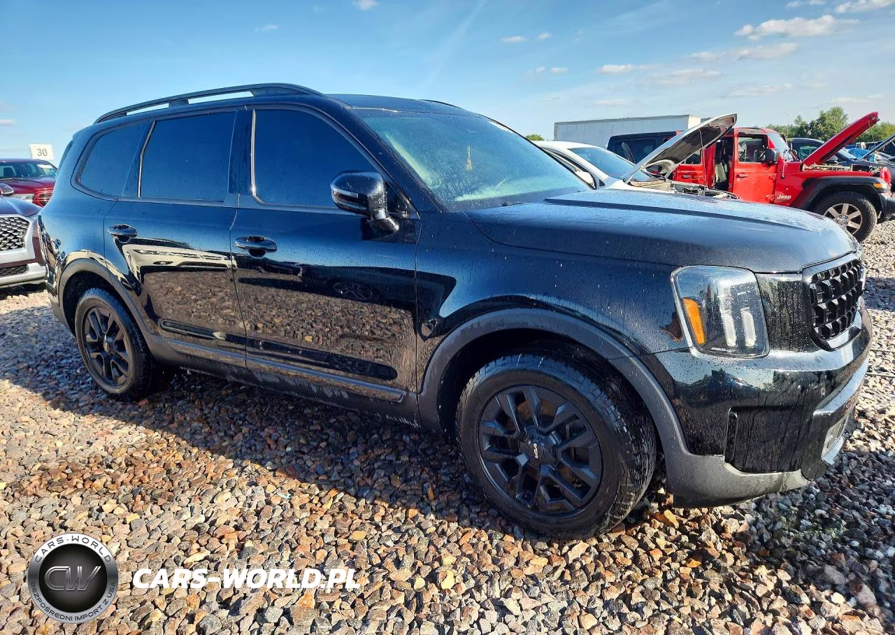 2024 Kia Telluride Sx-Prestige X-Pro VIN:5XYP5DGC2RG469086 - 4