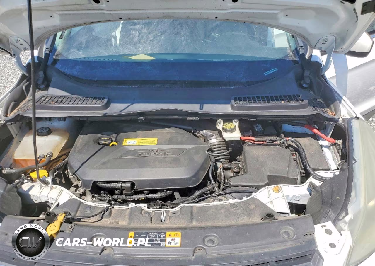 2013 Ford Escape Se VIN:1FMCU0GX4DUC38383 - 12