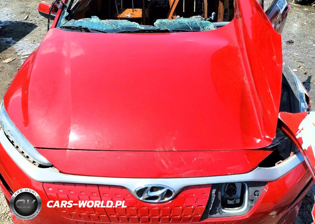2019 Hyundai Kona Limited VIN:KM8K33AG0KU024982 - 11