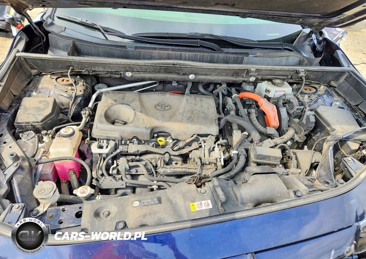 2019 Toyota Rav4 Xse VIN:JTMEWRFV6KD508108 - 11