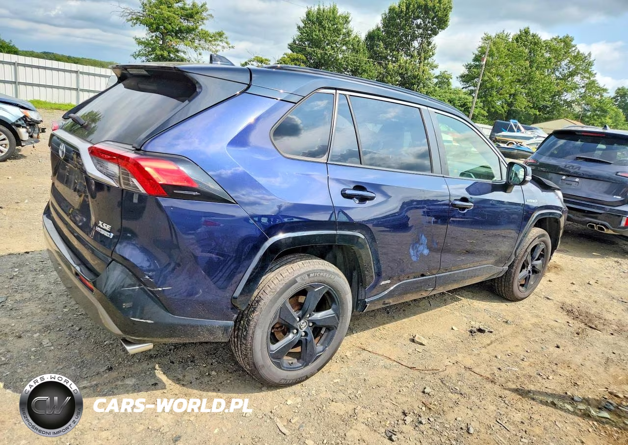 2019 Toyota Rav4 Xse VIN:JTMEWRFV6KD508108 - 3
