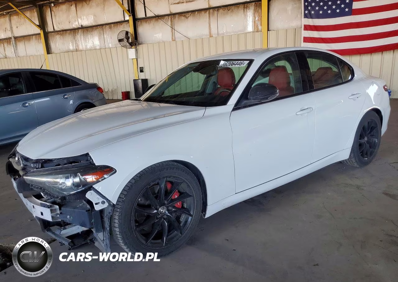 2019 Alfa Romeo Giulia VIN:ZARFAMAN1K7620137 - 1