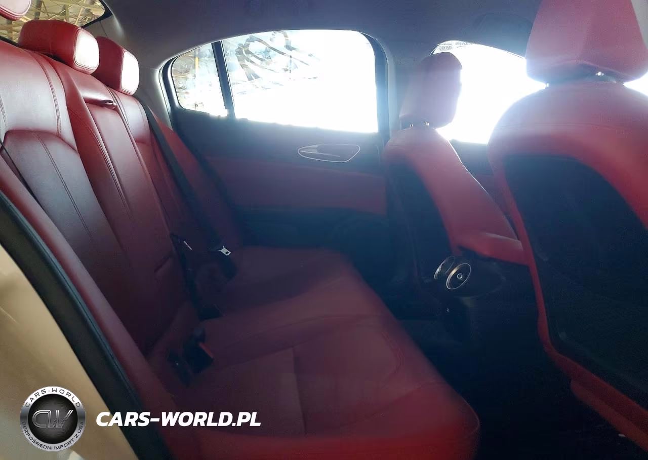 2019 Alfa Romeo Giulia VIN:ZARFAMAN1K7620137 - 10
