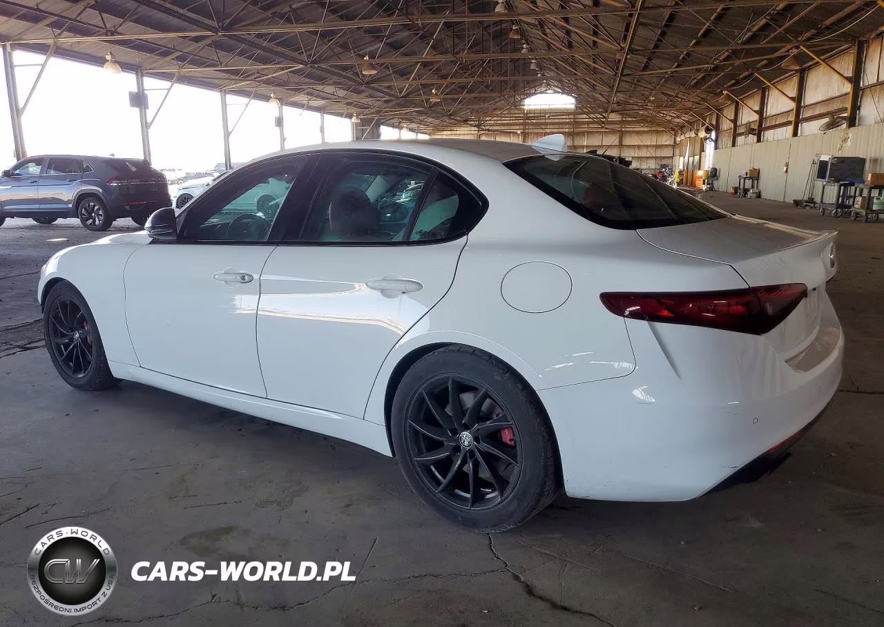 2019 Alfa Romeo Giulia VIN:ZARFAMAN1K7620137 - 2