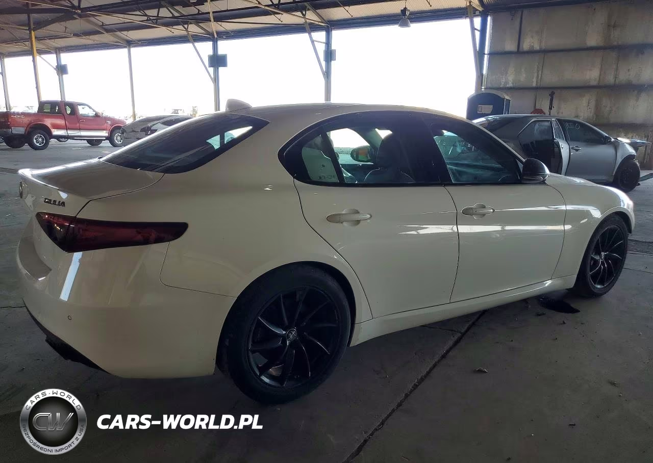 2019 Alfa Romeo Giulia VIN:ZARFAMAN1K7620137 - 3