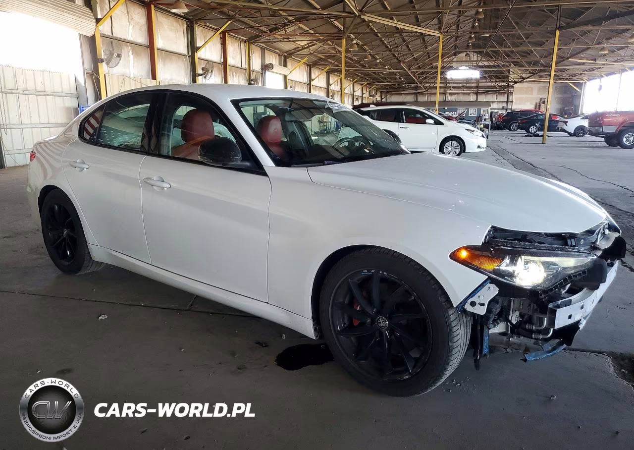 2019 Alfa Romeo Giulia VIN:ZARFAMAN1K7620137 - 4