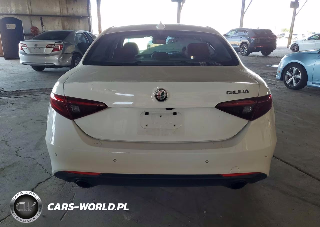 2019 Alfa Romeo Giulia VIN:ZARFAMAN1K7620137 - 6