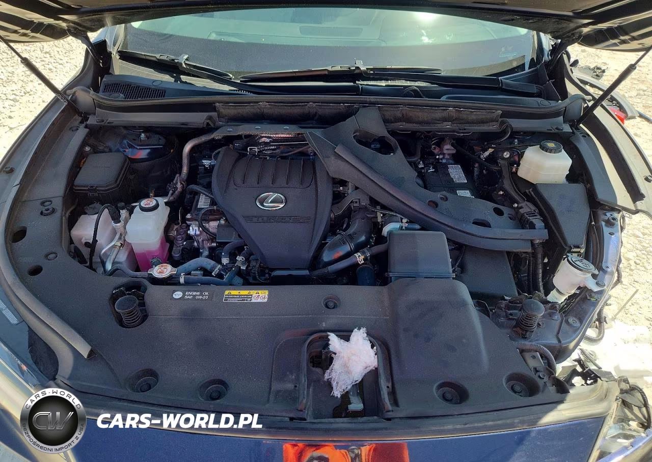 2024 Lexus Rx 350 Base VIN:2T2BAMBA4RC025713 - 11