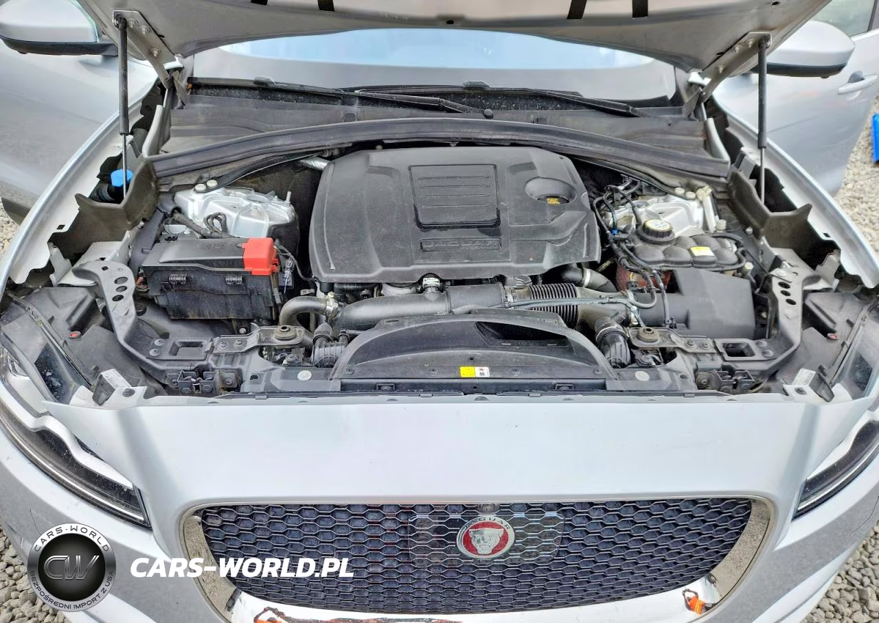 2019 Jaguar F-Pace Prestige VIN:SADCK2FXXKA354455 - 12