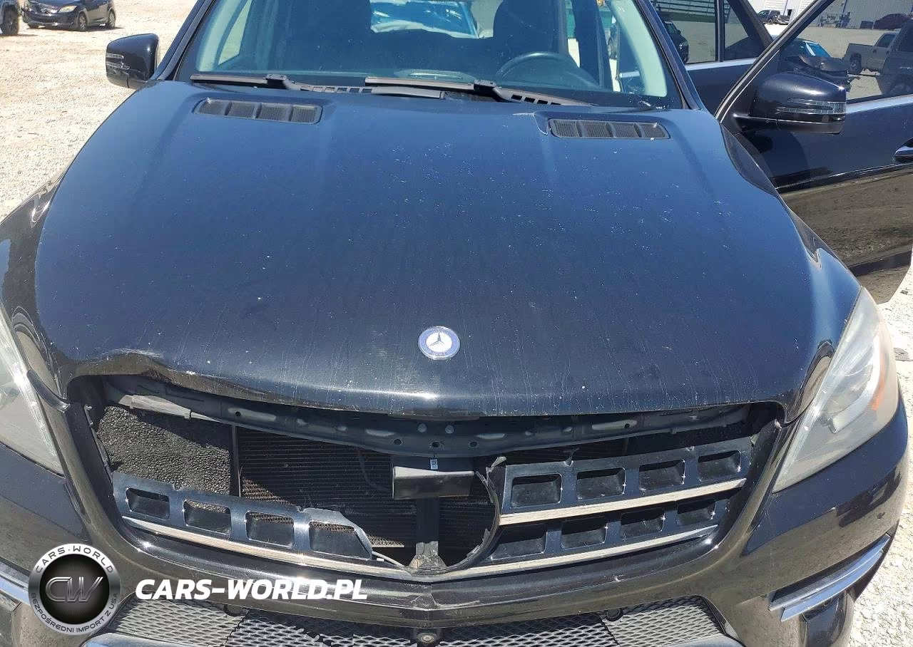 2014 Mercedes-Benz Ml 550 4Matic VIN:4JGDA7DB6EA343959 - 11