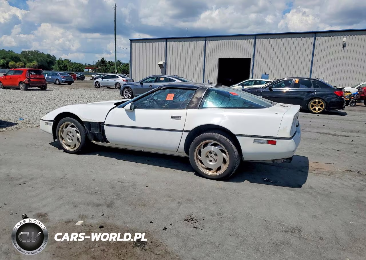 1989 Chevrolet Corvette VIN:1G1YY2183K5102435 - 2