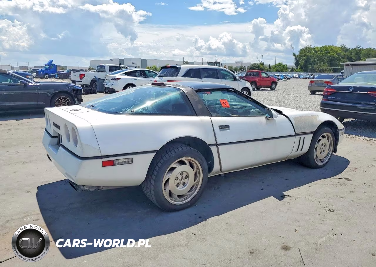 1989 Chevrolet Corvette VIN:1G1YY2183K5102435 - 3