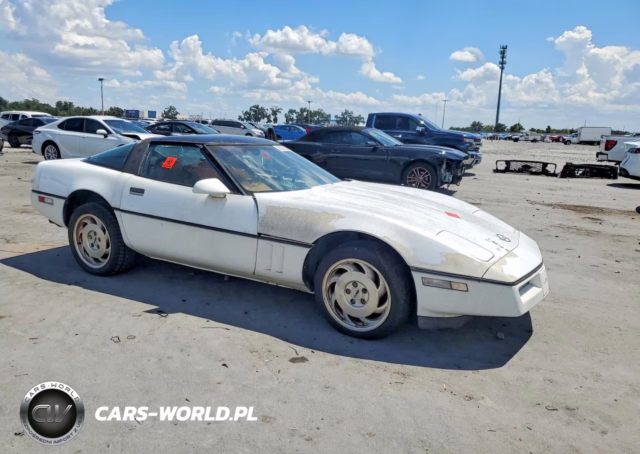1989 Chevrolet Corvette VIN:1G1YY2183K5102435 - 4