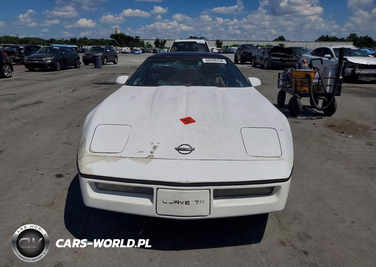 1989 Chevrolet Corvette VIN:1G1YY2183K5102435 - 5