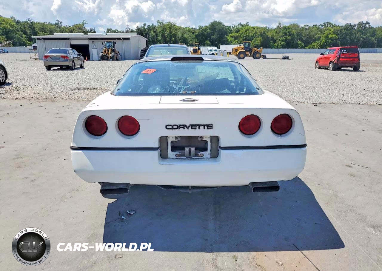 1989 Chevrolet Corvette VIN:1G1YY2183K5102435 - 6
