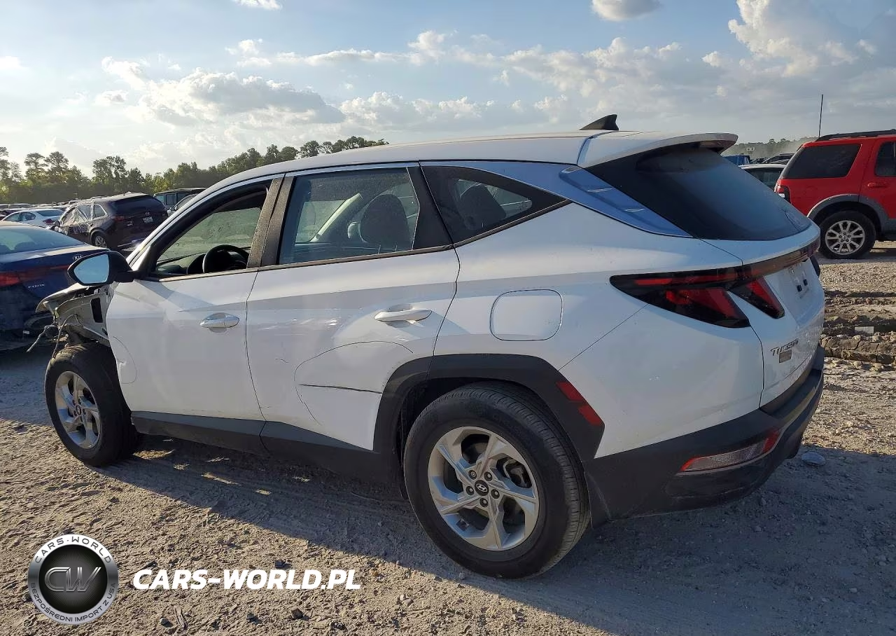 2024 Hyundai Tucson Se VIN:5NMJA3DE4RH338023 - 2