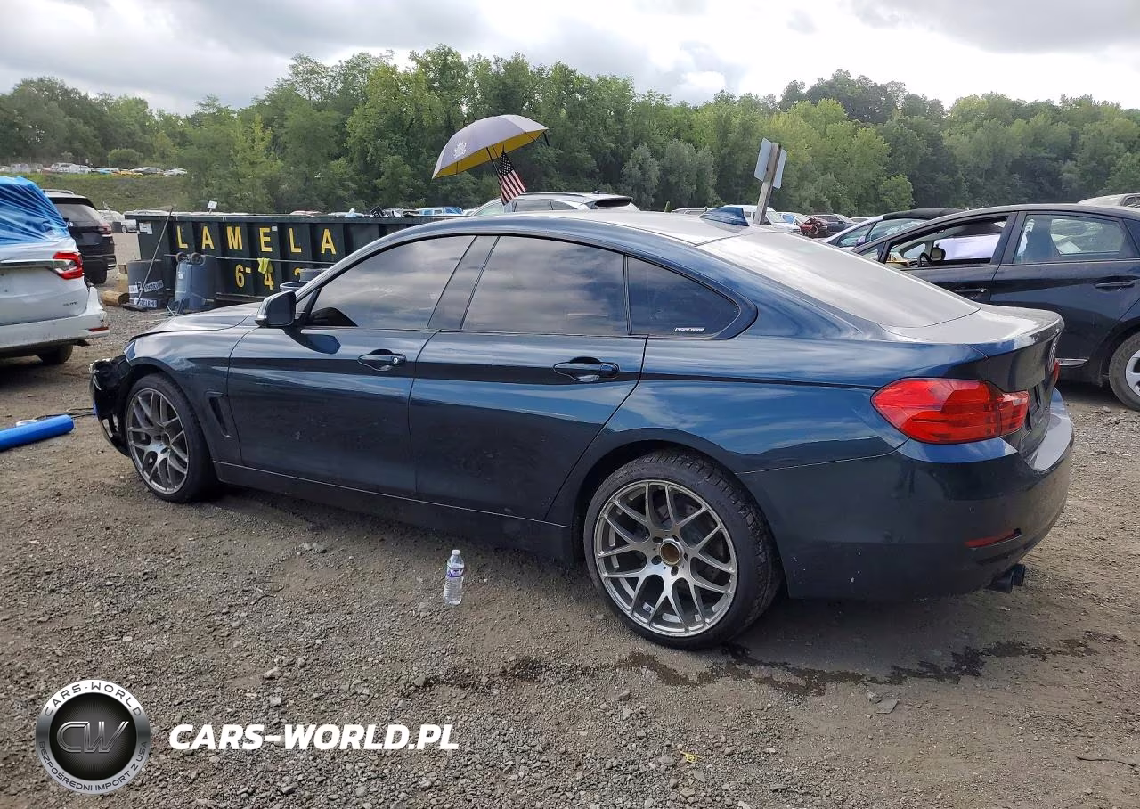 2017 BMW 430Xi Gran Coupe VIN:WBA4F9C31HG813065 - 2