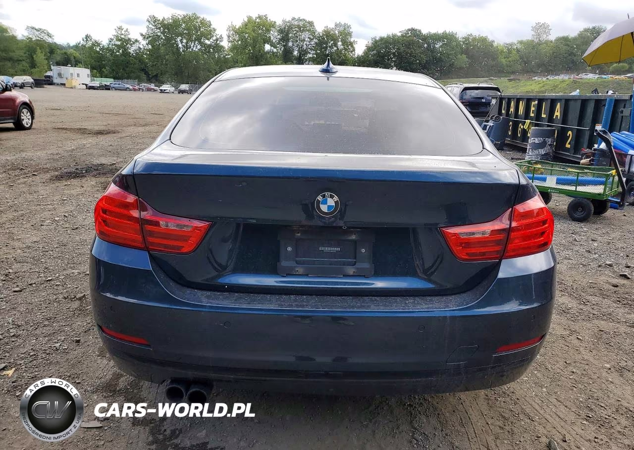 2017 BMW 430Xi Gran Coupe VIN:WBA4F9C31HG813065 - 6