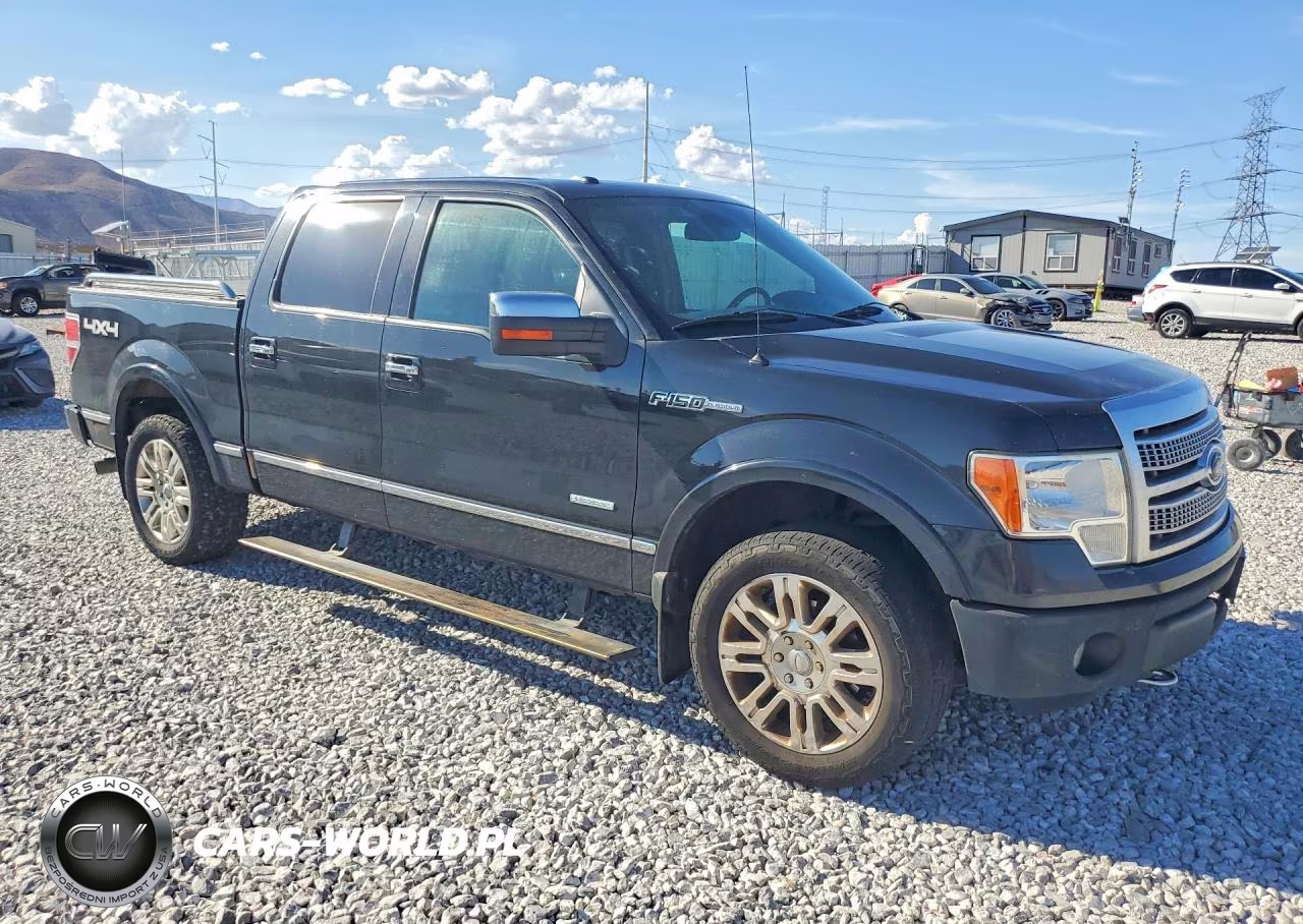2012 Ford F-150 Platinum VIN:1FTFW1ETXCFC58707 - 4