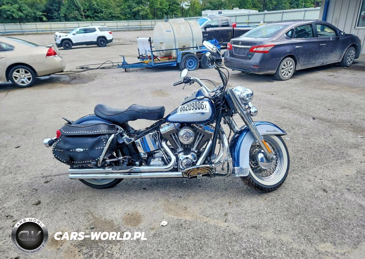 2002 Harley-Davidson Flstci