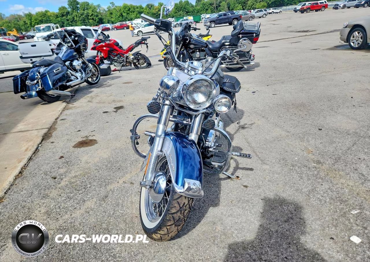 2002 Harley-Davidson Flstci VIN:1HD1BWB1X2Y013896 - 2