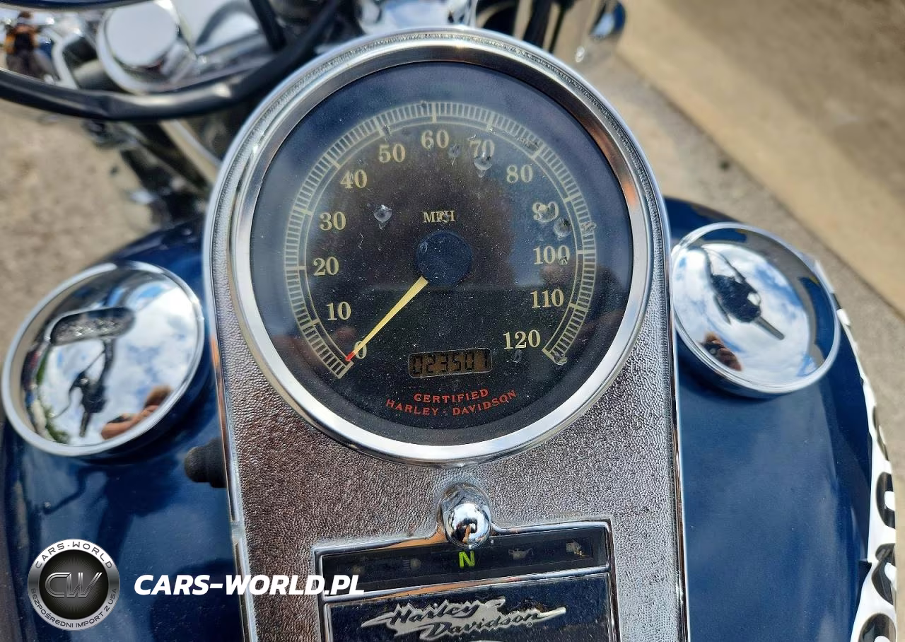 2002 Harley-Davidson Flstci VIN:1HD1BWB1X2Y013896 - 7