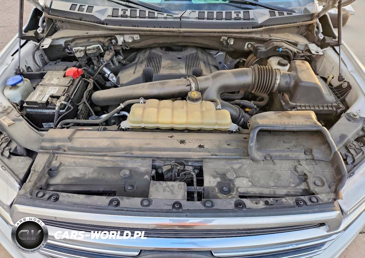 2020 Ford F150 Supercrew VIN:1FTEW1EG3LFA49369 - 11