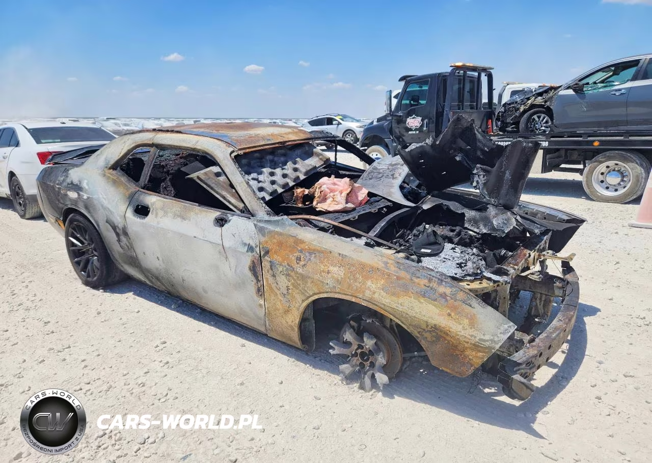 2009 Dodge Challenger R-T VIN:2B3LJ54T99H640570 - 4