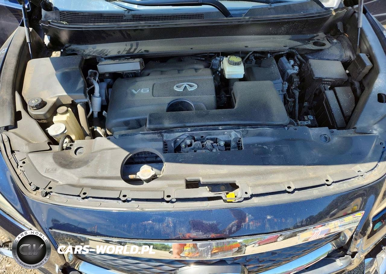 2019 Infiniti Qx60 Pure VIN:5N1DL0MMXKC561020 - 12