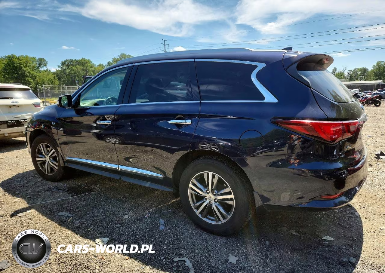 2019 Infiniti Qx60 Pure VIN:5N1DL0MMXKC561020 - 2