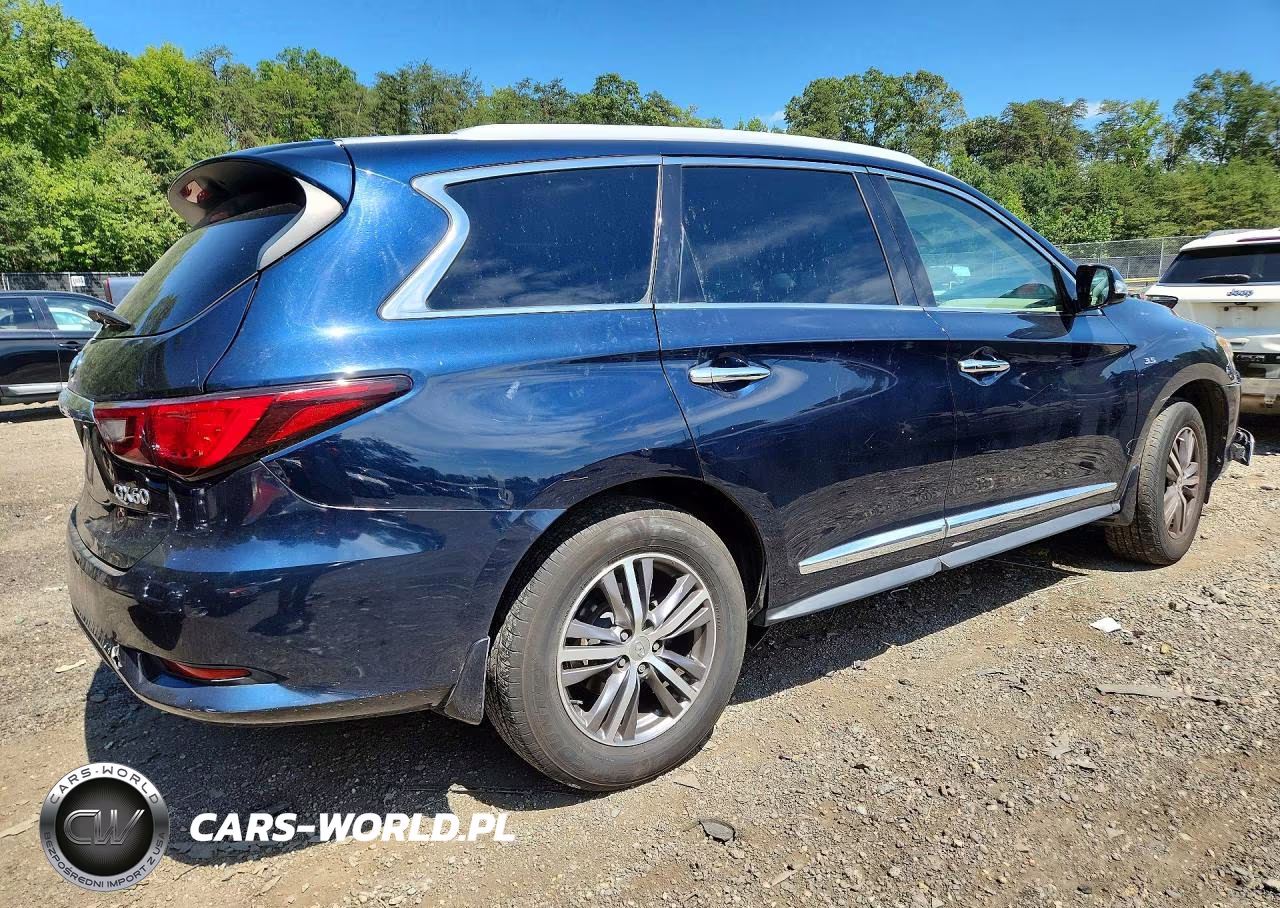 2019 Infiniti Qx60 Pure VIN:5N1DL0MMXKC561020 - 3